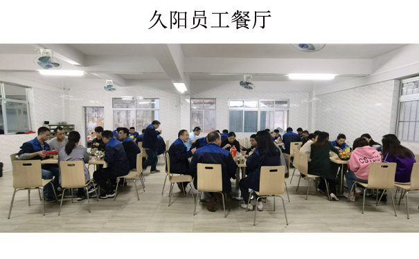 国产麻豆精品久久久机械员工餐厅